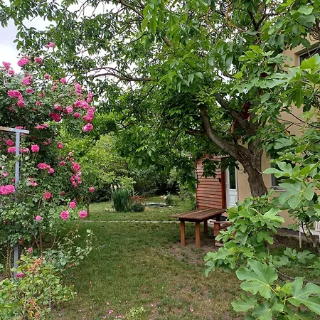 Horská chata Peaceful Cottage, Close To Nature, Town And Bus